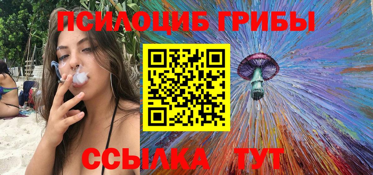 Галлюциногенные грибы Cubensis Павловский Посад