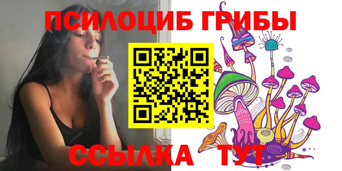 Псилоцибиновые грибы Psilocybe  купить   Галлюциногенные грибы Psilocybe  Павловский Посад  Вход с VPN 